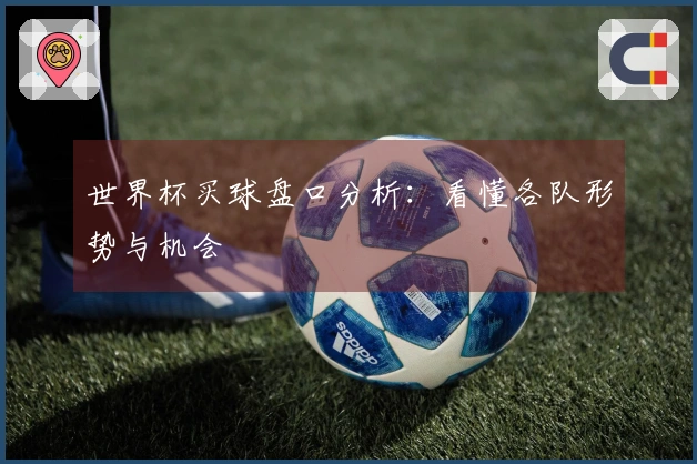 世界杯买球盘口分析:看懂各队形势与机会